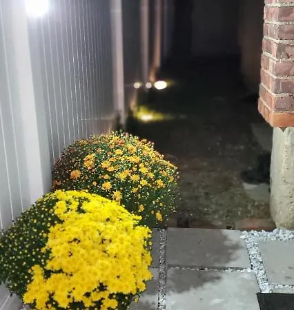 Eleg Stu Apt With Lux Amnts Steps Frm Nautical Mile Freeport Exterior photo